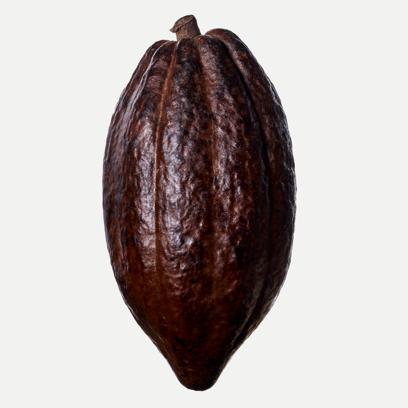 Cacao