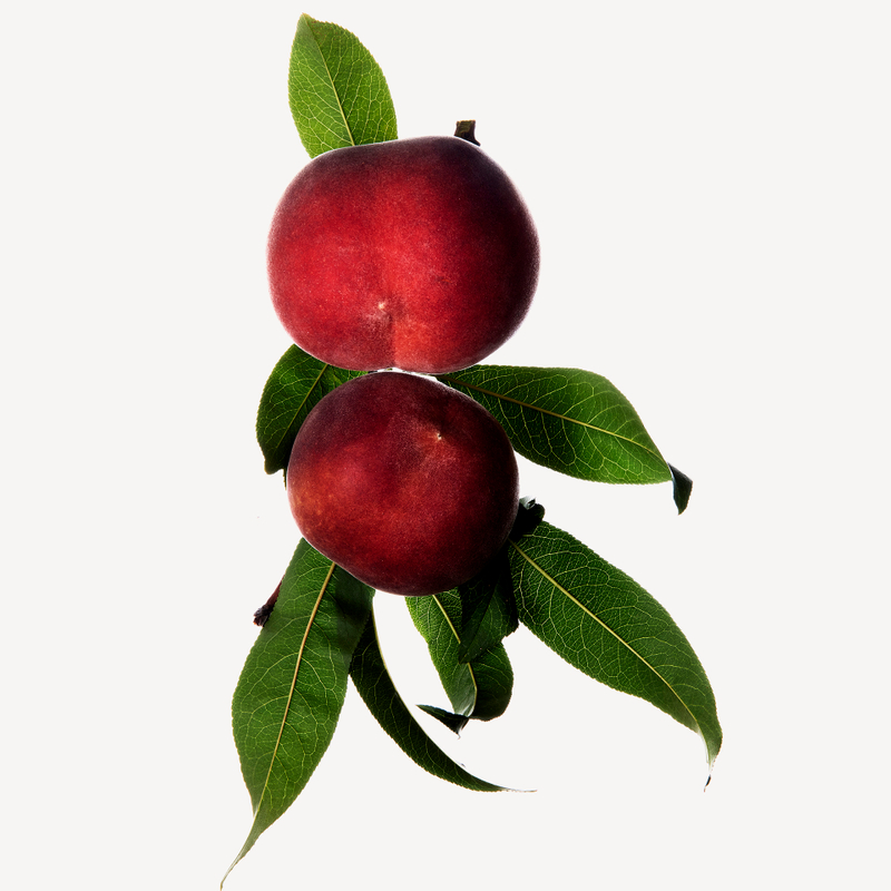 Melocotón
