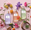 Colección Floral