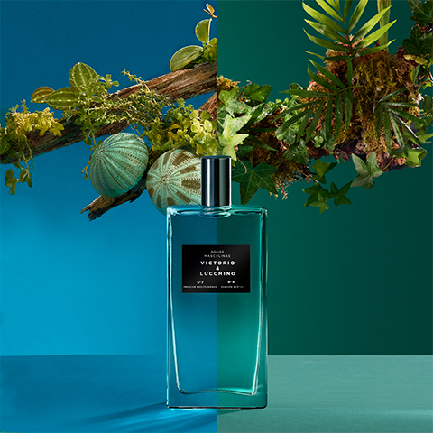 Mediterranean Freshness - Men's Collection Perfume - Aguas de Victorio and  Lucchino